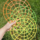 Flower Support - Medium