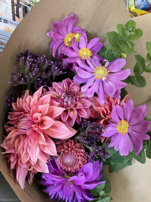 Purple Tops