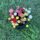 Seed – Dahlia Mix