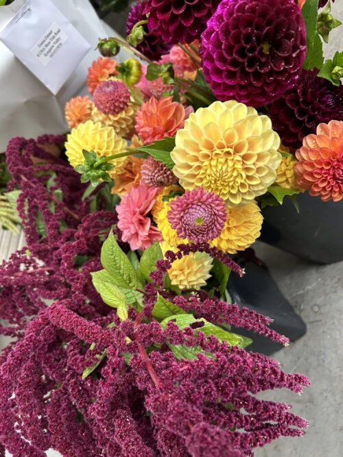 Amaranth